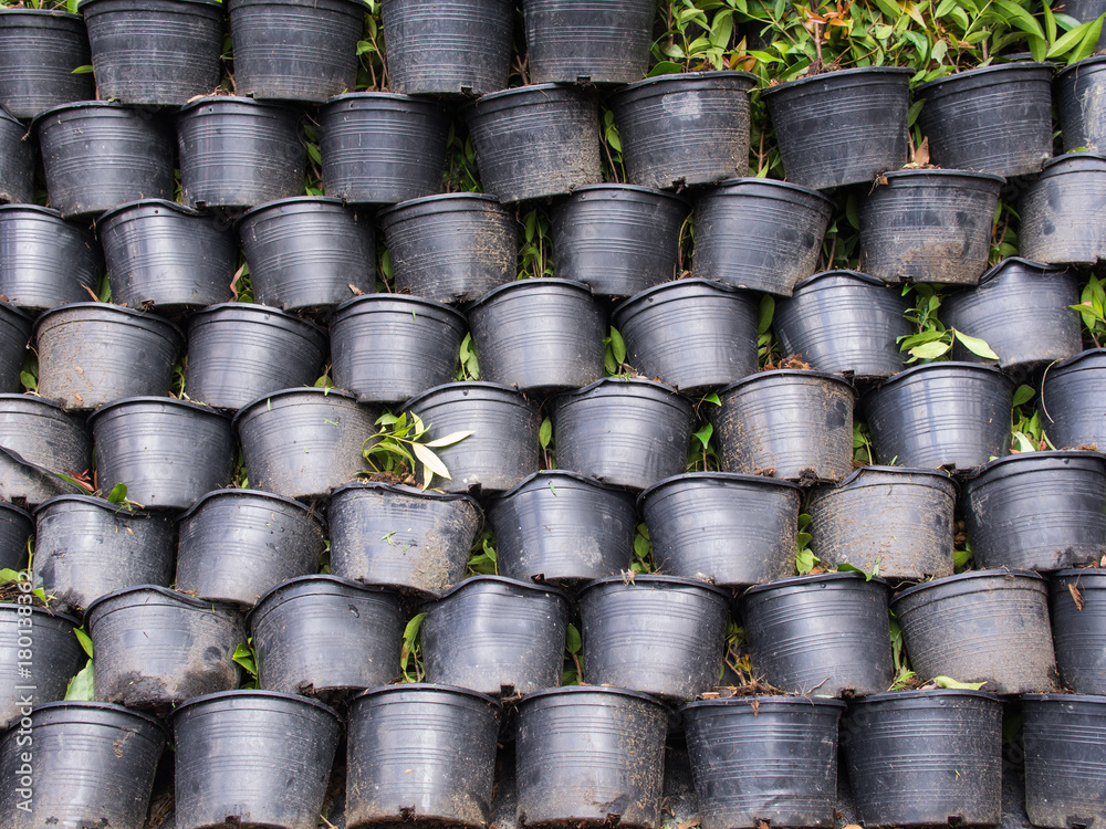Pot Plants are Stacked very Tightly Pot Plants are Stacked very Tightly