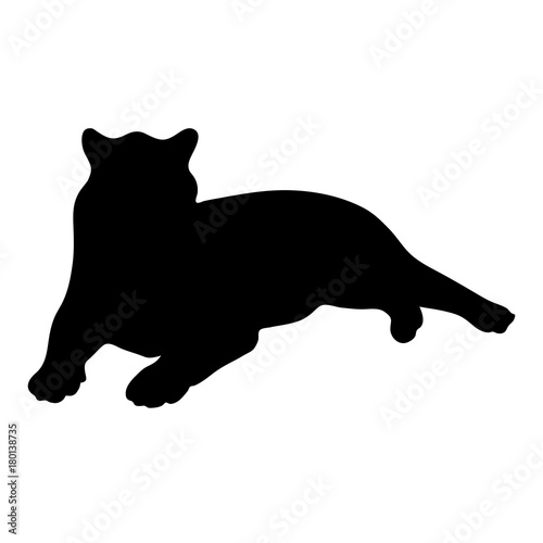 Fototapeta Naklejka Na Ścianę i Meble -  black silhouette of lying tiger on white background of vector illustration