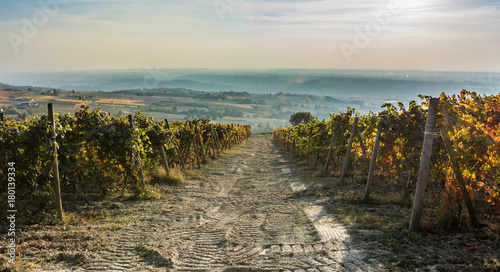 Langhe