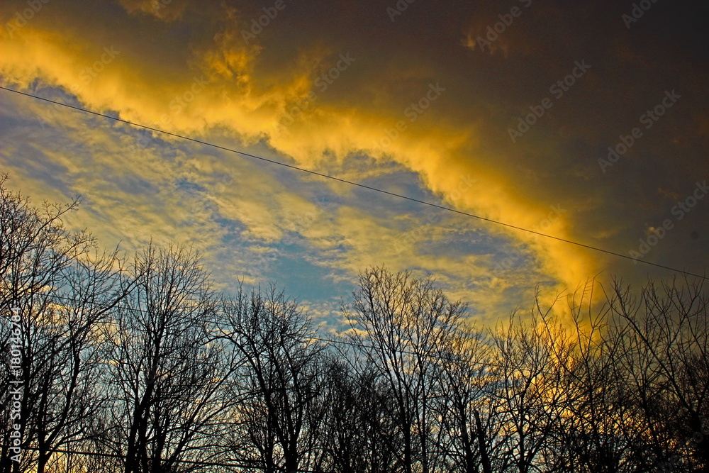 Obraz premium Strange Colors