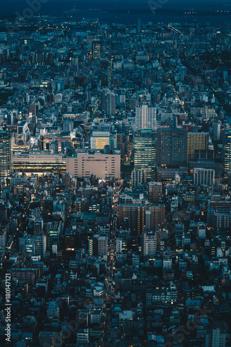 Tokyo cityscape as seen from above aerial photography of Tokyo city, Japan