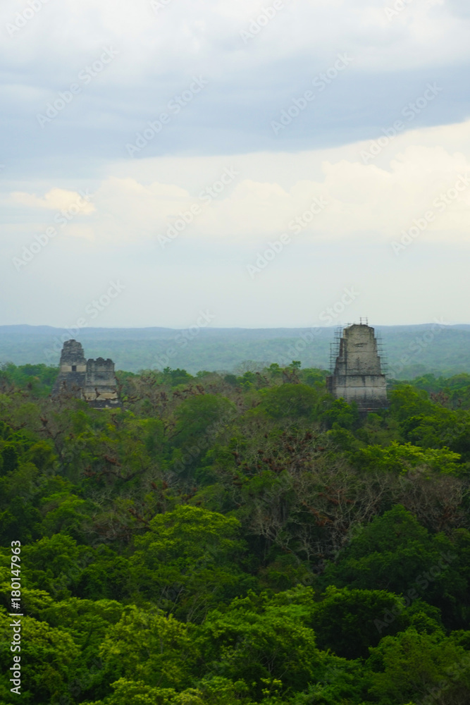 A pyramid in Tikal area with ruins from the Mayan era in Guatemala.