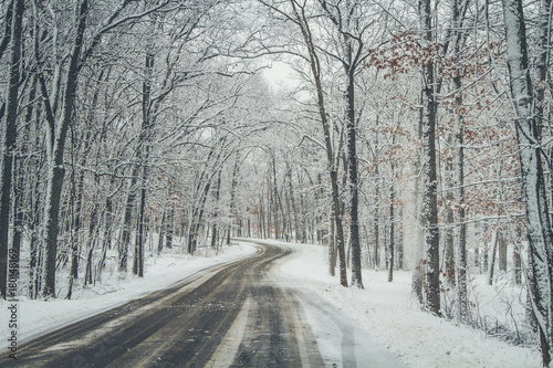 Road through snowy forest