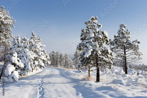 Footsteps on a snowy mountain road