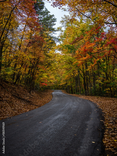 Fall road © Sherman Thomas