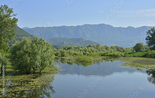 An inlet of Skadarsko Jezero or Skadar Lake by the small town of Virpazar in Montenegro 