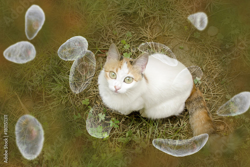 Toxoplasma gondii awareness conceptual image. 3D illustration showing Toxoplasma gondii tachyzoites and the cat which is the definitive host of parasites photo