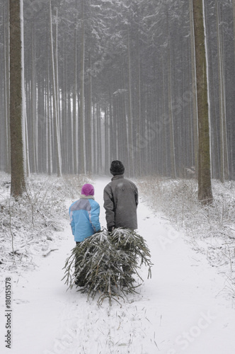 zwei Kinder holen Christbaum im Wald
