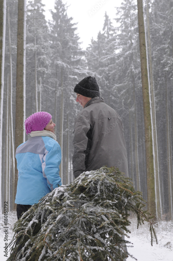 zwei Kinder holen Christbaum im Wald