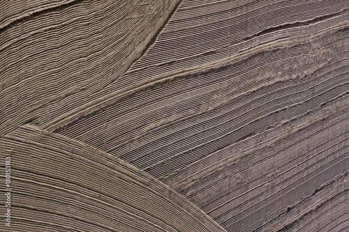 Cleaned by a tractor sand on the Mediterranean beach