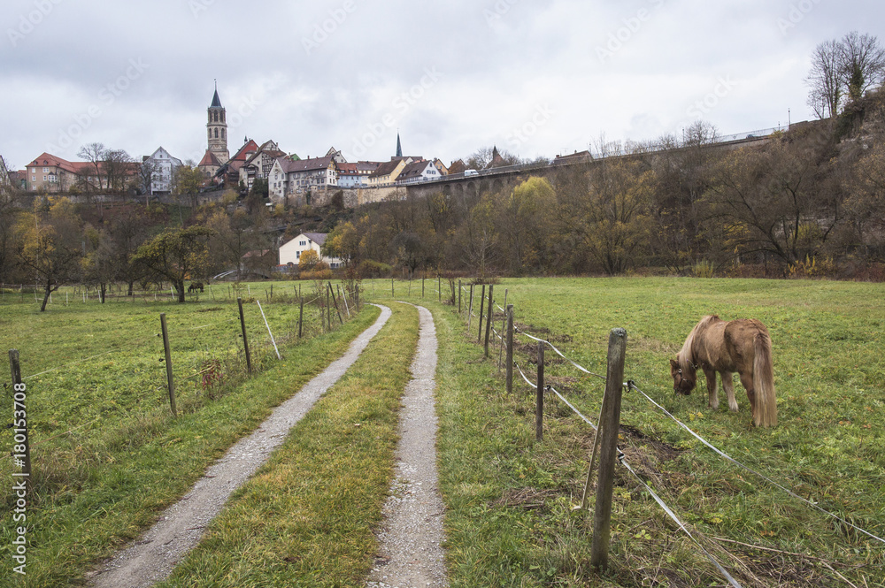 custom made wallpaper toronto digitalStadt Rottweil - In der Au