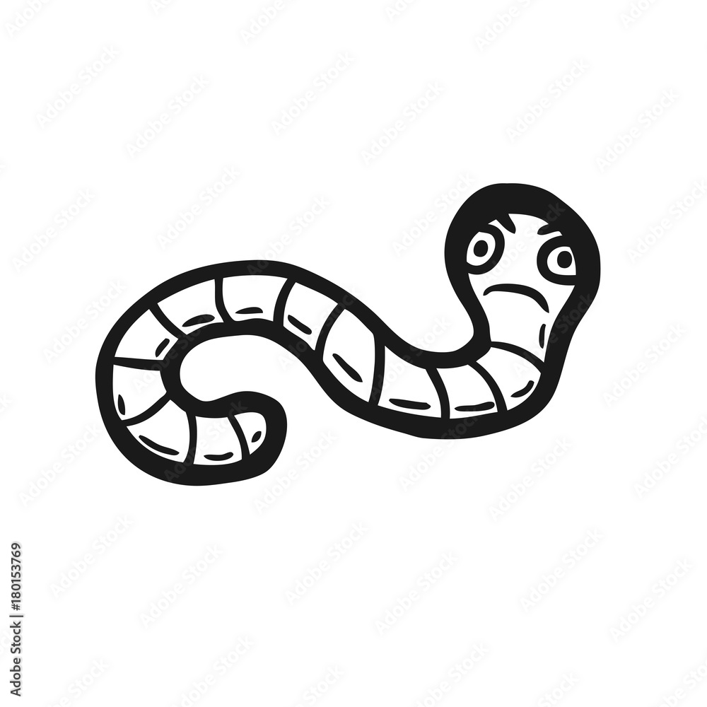 Fototapeta premium Painted worm