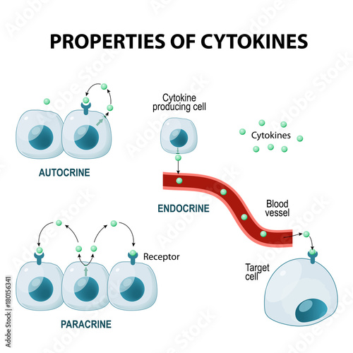 properties of cytokines