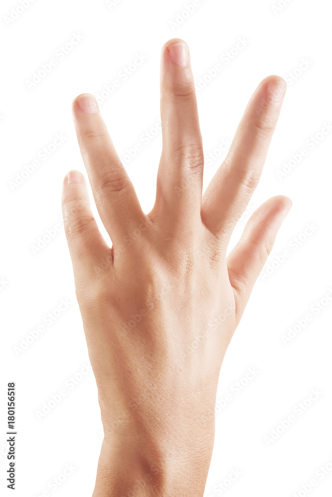 Close-up of beautiful woman's hand isolated on white background Close-up of beautiful woman's hand isolated on white background