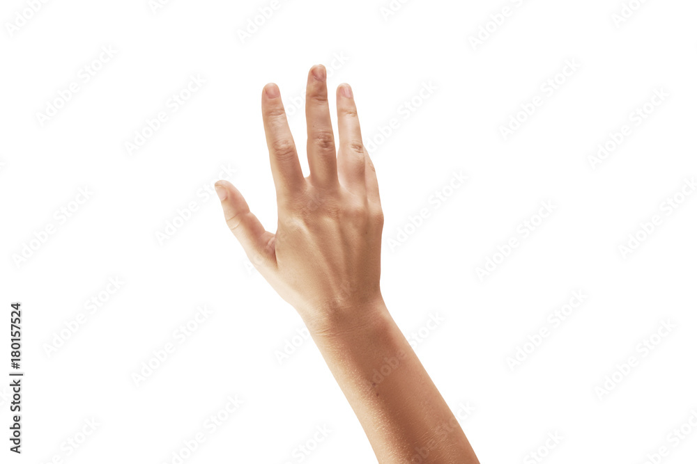 Close-up of beautiful woman's hand isolated on white background Close-up of beautiful woman's hand isolated on white background
