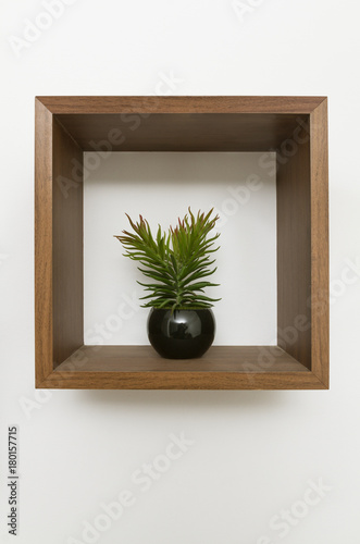 wooden wall shelf with plant pot inside