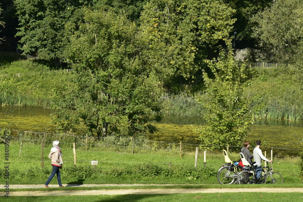 Promenade à vélos le long du petit étang de Lange Gracht et la forêt de Soignes à Auderghem Promenade à vélos le long du petit étang de Lange Gracht et la forêt de Soignes à Auderghem