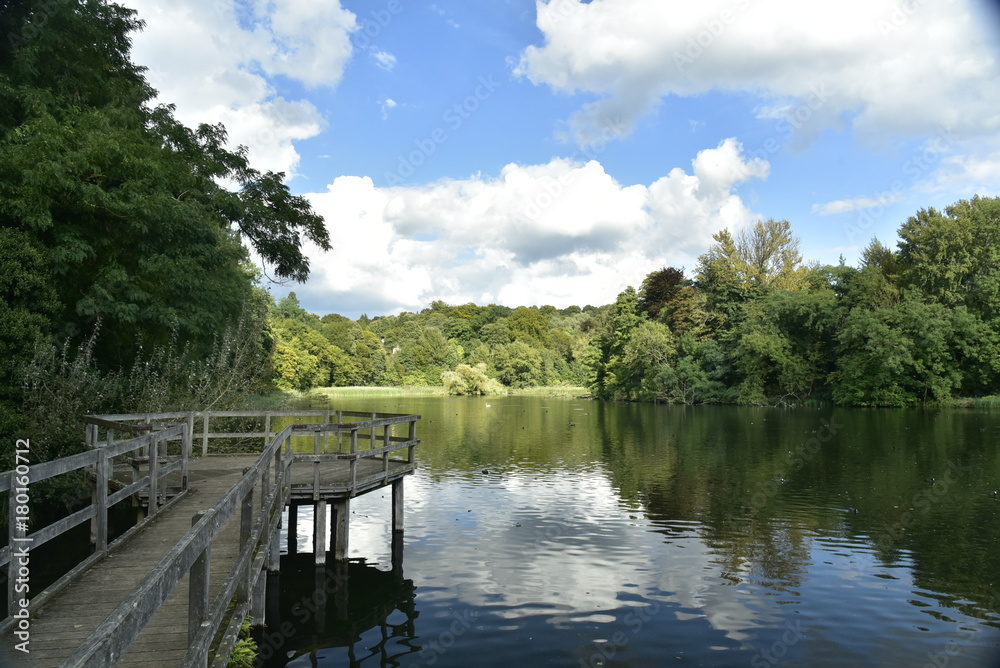 Le Grand étang du Langue Gracht et son ponton d'observation  en pleine forêt de Soignes 