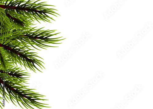 Xmas mock up conifer vector illustration. Isolated fir banner background. Happy new Year poster frame decoration. Festive greeting border. Realistic Merry Christmas branch pine tree template.