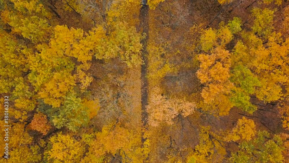 Aerial view on car driving through autumn forest road. Scenic autumn landscape Aerial view on car driving through autumn forest road. Scenic autumn landscape