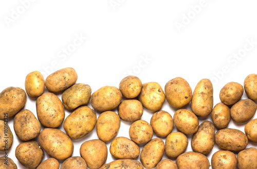 A lot of dirty potatoes on a white background. Potatoes scattered on the underside.