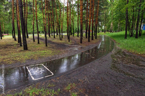 bike path in the Park