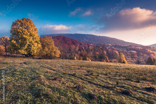 Sunrise at misty foggy morning in Bieszczady Carpathian Mountains in Poland