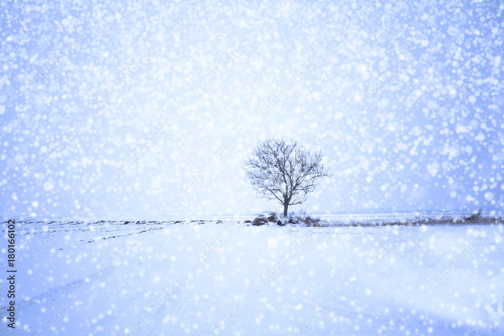 Fototapeta premium vintage winter landscape background with snow