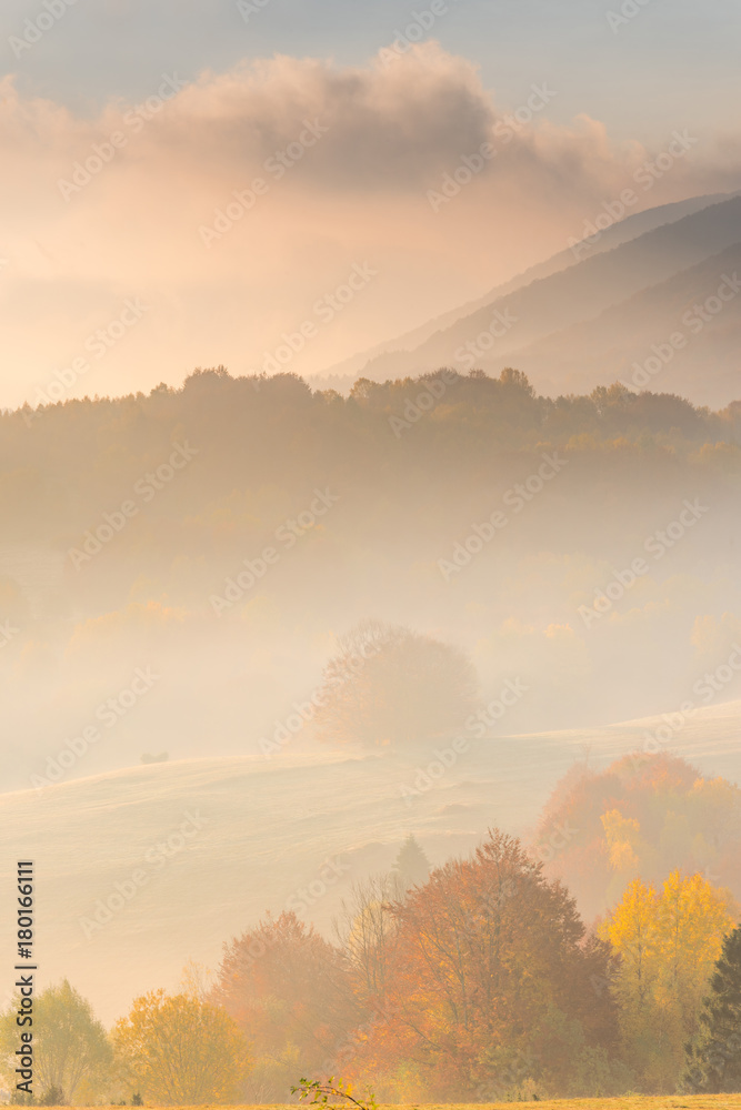 Naklejka premium Colorful autumnal trees foliage