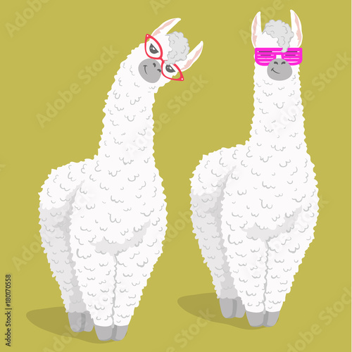 set of cute cartoon lama alpaca in trendy glasses. Vector Illustration. unique design for cards, posters, t-shirts, invitations, patch and stickers