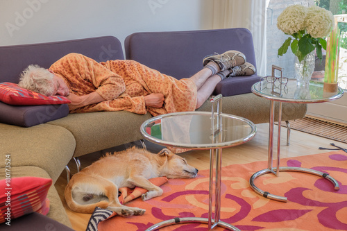 senior man and brown dog take nap in living room photo