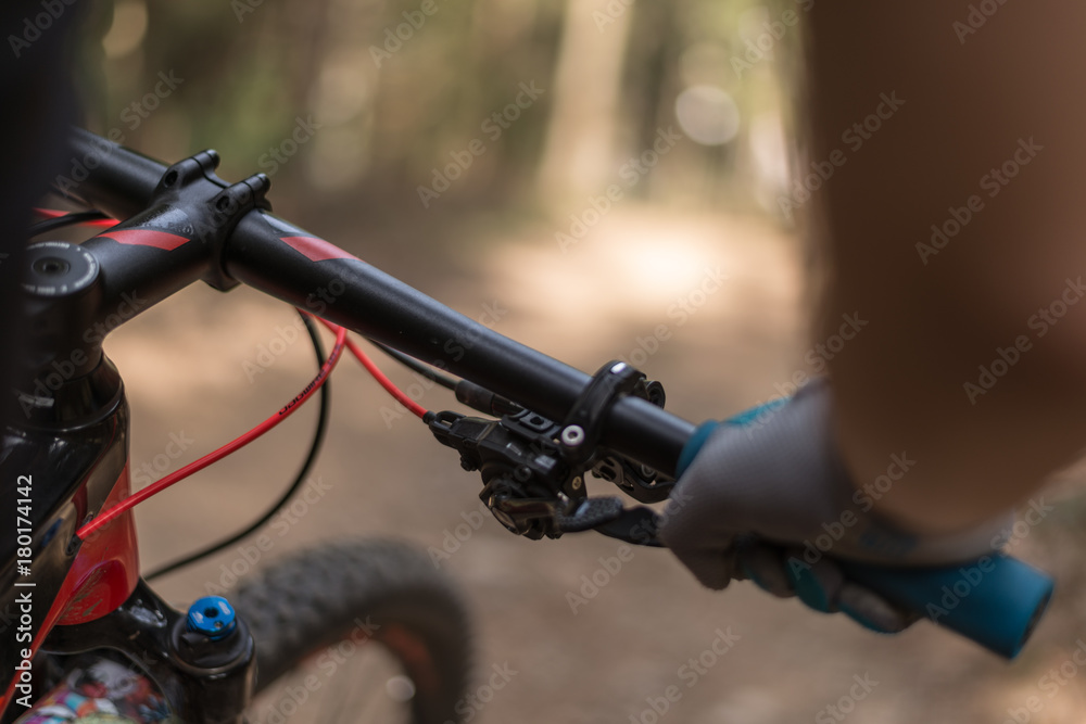 Fototapeta premium hold and ride it