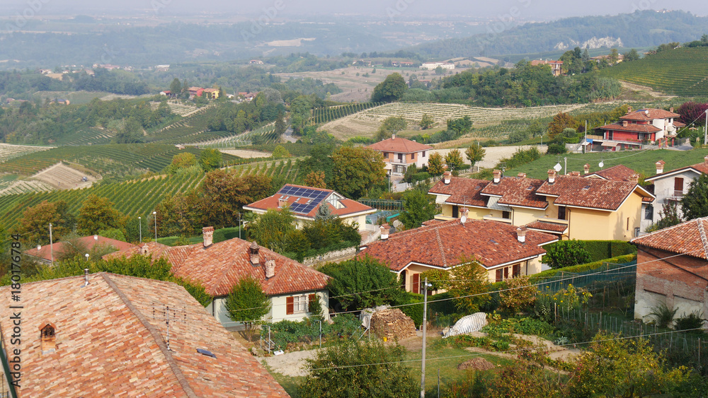 Panorama Novello campagna e vino italiano