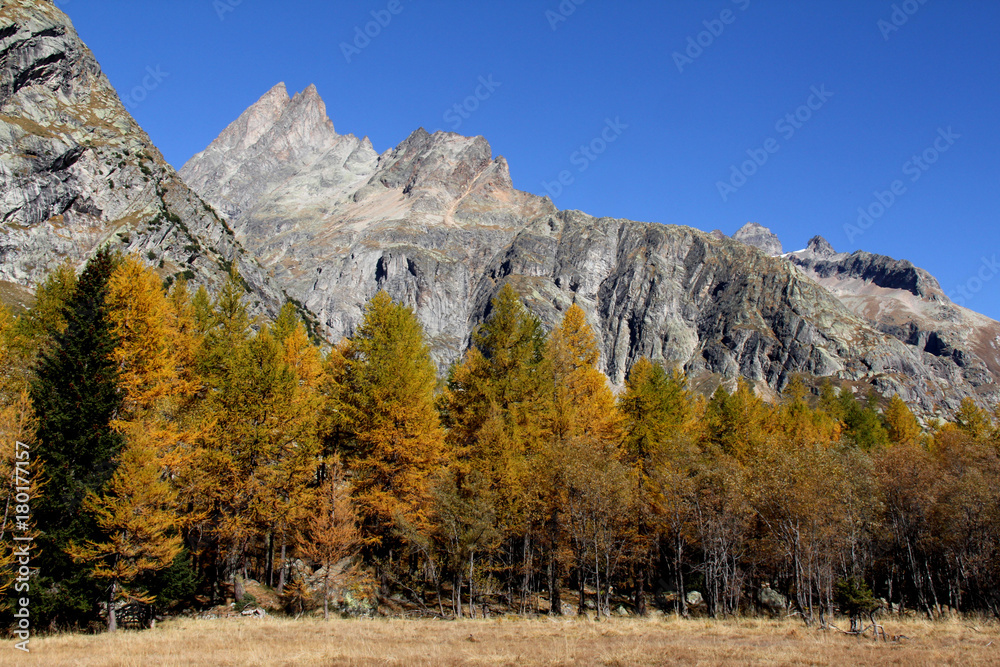 les Monts Rouges de Triolet; massiccio del Monte Bianco, Val Ferret