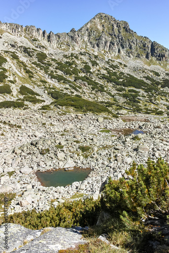 Amazing landscape with Dzhangal peak and Samodivski lakes, Pirin Mountain, Bulgaria photo