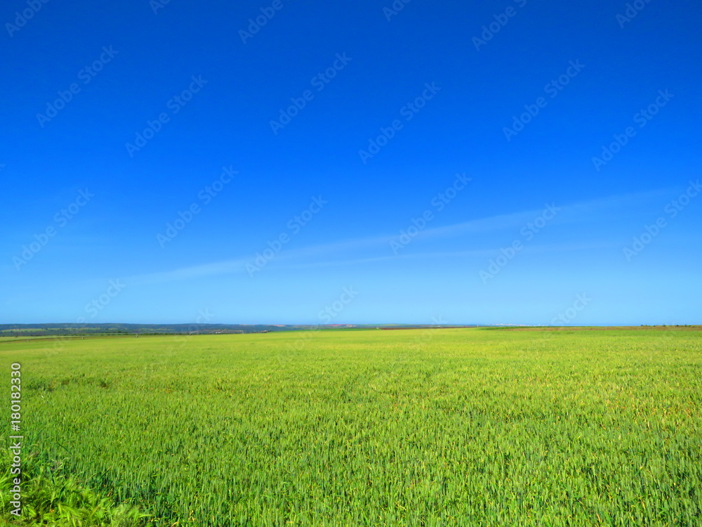 Green and Blues Landscape