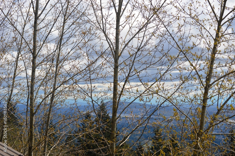View of Salish Sea from Stanley Park Vancouver Canada View of Salish Sea from Stanley Park Vancouver Canada