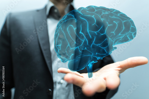 brain
