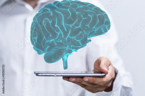brain