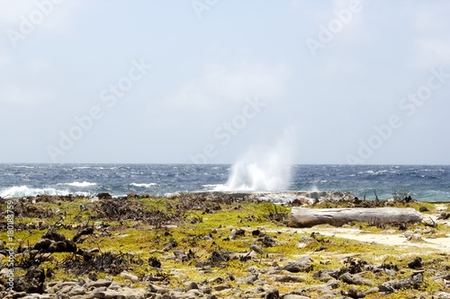 Little Blowhole