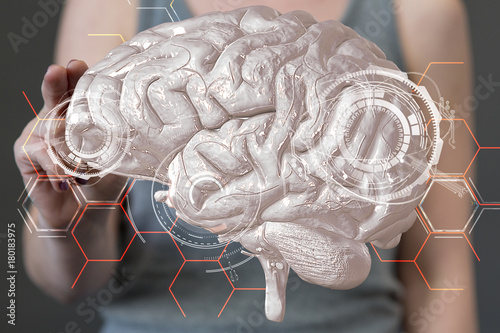 brain