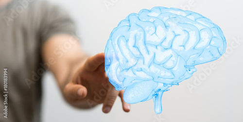 brain