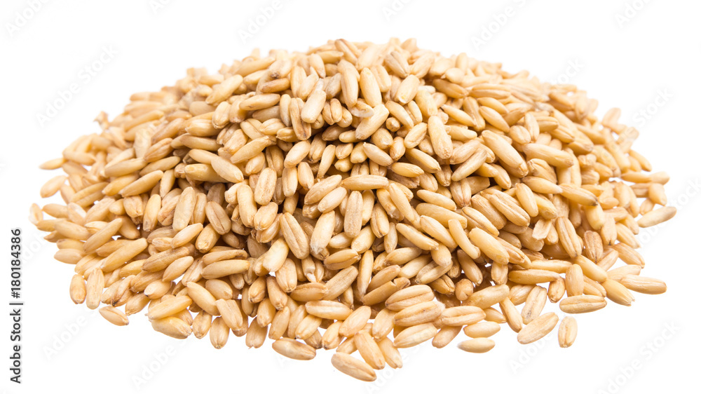 Fototapeten Getreide Getreide - Oat Grains. Pile of grains, isolated white background. #180184386