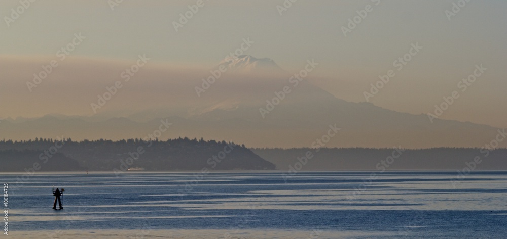Mount Rainer In Mist