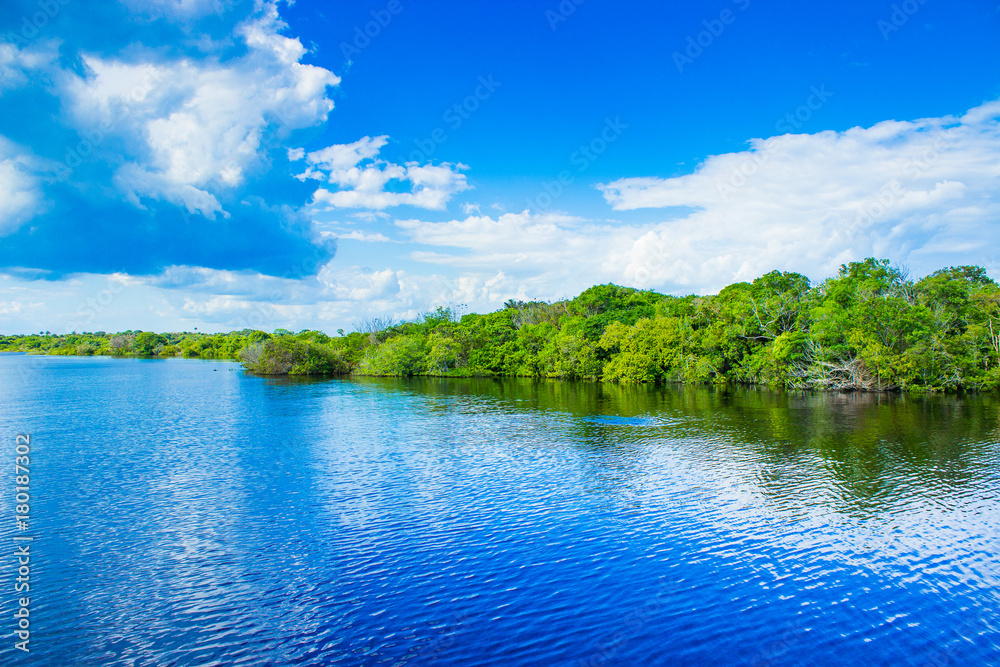 Paisagem no Rio Negro com árvores e céu azul