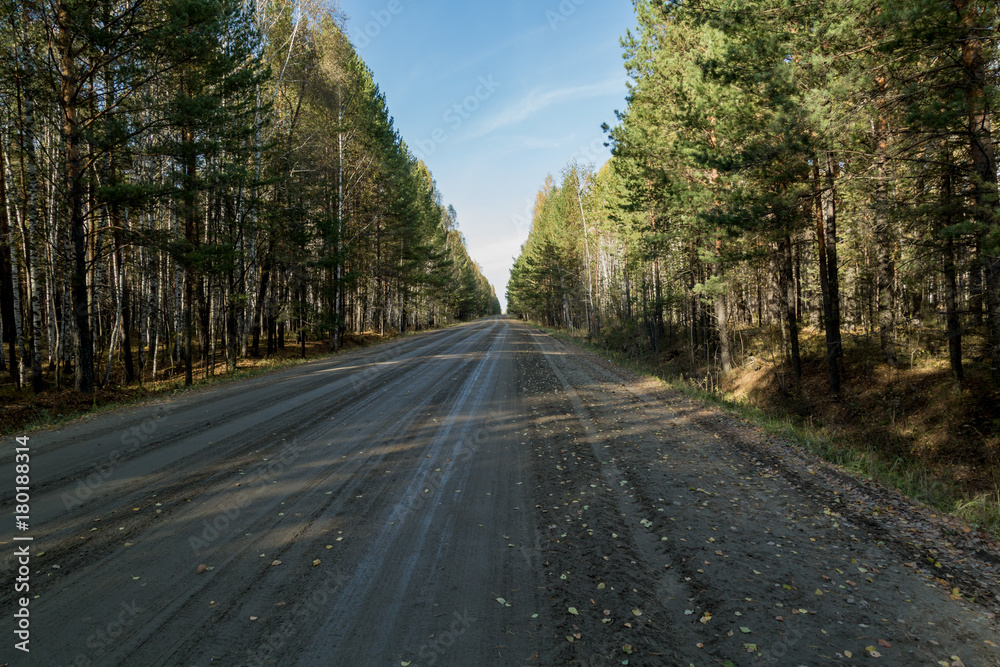 Forest country road Forest country road