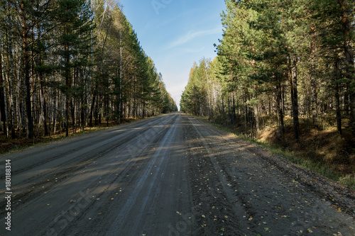 Forest country road