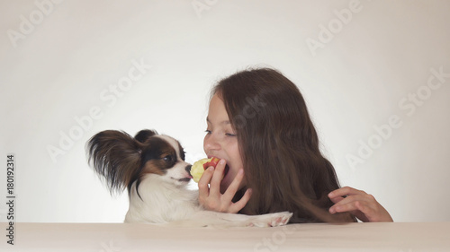 Beautiful teen girl and dog Continental Toy Spaniel Papillon eating tasty fresh red apple on white background photo