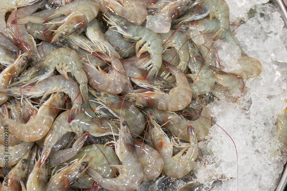 prawn seafood prawn seafood