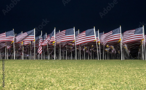 View of Multiple American Flags in a Windy Night photo